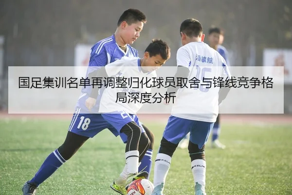 国足集训名单再调整归化球员取舍与锋线竞争格局深度分析