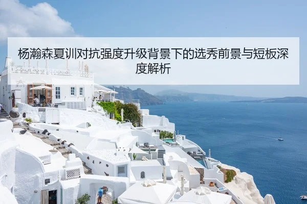 杨瀚森夏训对抗强度升级背景下的选秀前景与短板深度解析